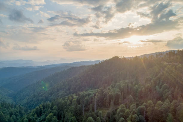istock Sunset in the mountains. Forests and white clouds in the sky_1 1166259435