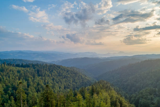 istock Sunset in the mountains. Forests and white clouds in the sky_1 1166259443