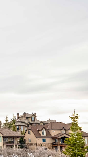 istock Vertical frame Luxurious multi storey homes on a snow covered mountain under overcast sky 1166259529