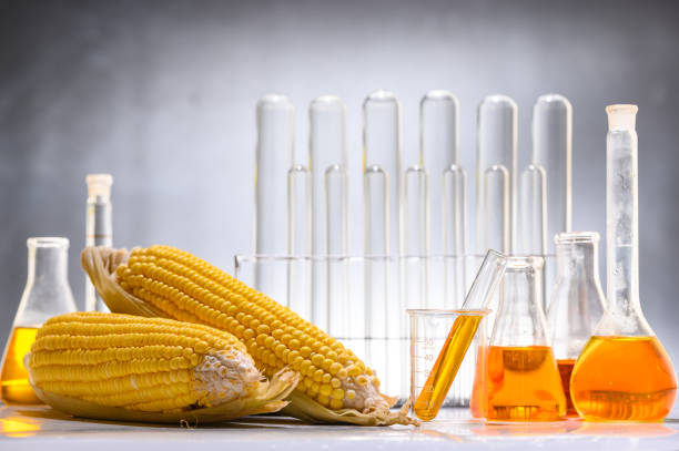 istock Biofuel or Corn Syrup, gasoline, energy, environmentalist 1166259571