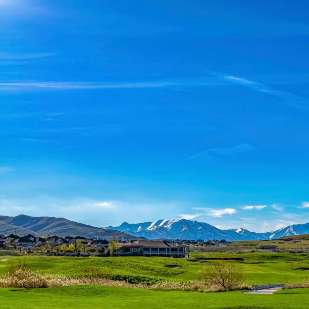 istock frame Homes built on terrain covered with grasses under vast blue sky on a sunny day 1166259597