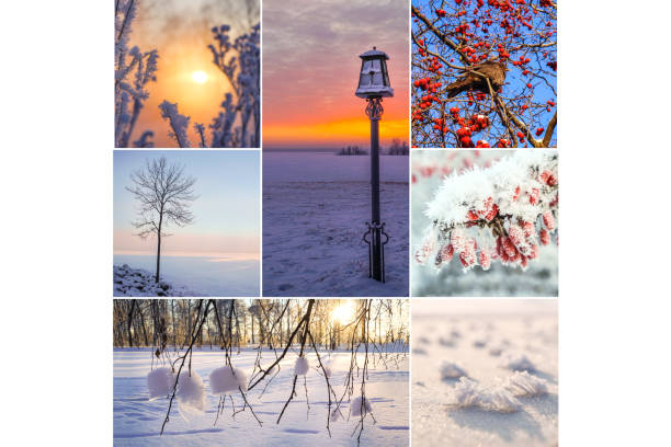 istock Collage showing the winter nature landscapes 1166259935