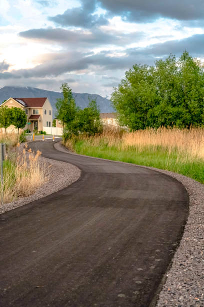 istock Vertical Paved road with yellow traffic delineator posts winding through a grassy field 1166260345