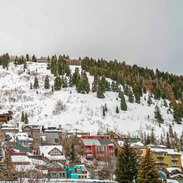 istock Square frame Residences built on a mountain with coniferous trees and fresh snow in winter 1166260767