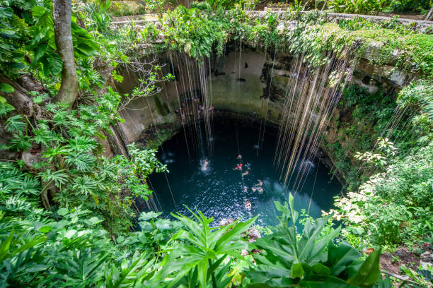 Cenote Chichen itza, Yucatan, Mexico View of the Chichen itza cenote in the yucatan cenote stock pictures, royalty-free photos & images