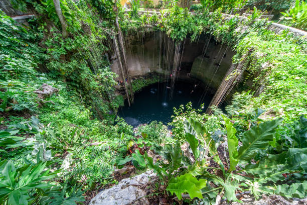 istock Cenote Chichen itza, Yucatan, Mexico 1166261953