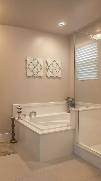 istock Vertical frame Bathroom interior with a shower stall beside the built in bathtub 1166262096