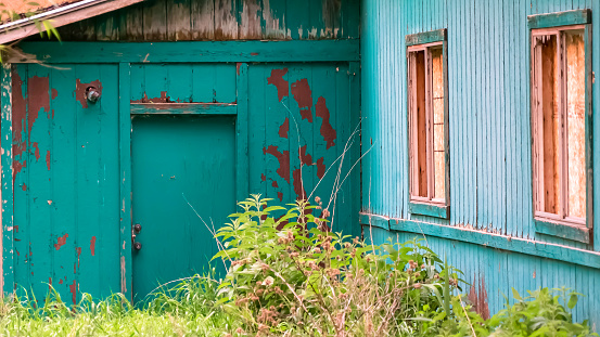 Panorama frame Exterior of shed in the forest with damaged roof and peeling green paint on wall. Grasses and trees can be can be seen around the old and weathered building.