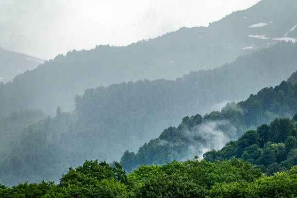 istock High mountains with forested slopes and peaks hidden in the clouds. 1166263191