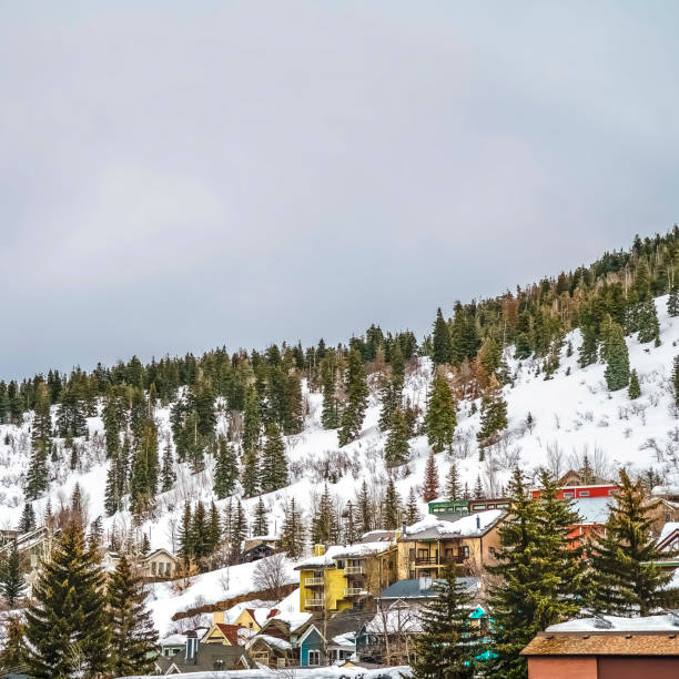 istock Square Mountain with colorful homes and coniferous trees on its snow covered slope 1166264718