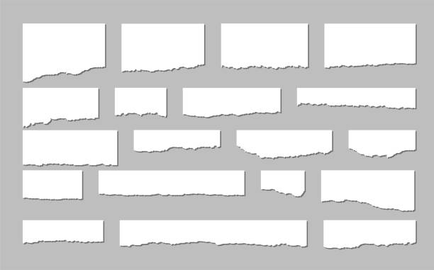 Torn sheets of paper. A set of torn paper on a dark background. Vector illustration.