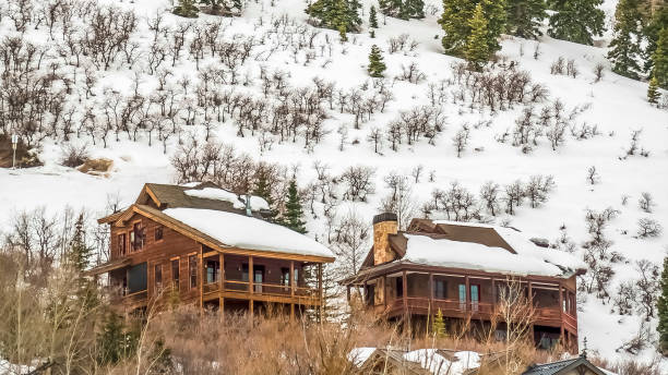 istock Panorama frame Winter landscape with homes and conifers on a mountain under cloudy gray sky 1166267400
