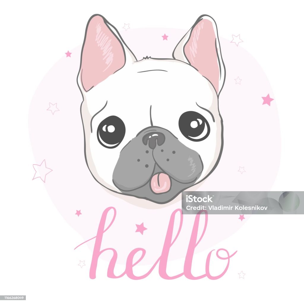 Hình Minh Họa Hoạt Hình Chó Pug Dễ Thương Thân Thiện Béo Mũm Mĩm ...