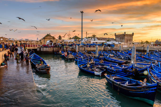 bellissima alba nel porto di essaouira. tradizionali barche da pesca blu. - essaouira foto e immagini stock