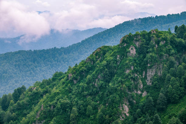 istock High mountains with forested slopes and peaks hidden in the clouds. 1166270697