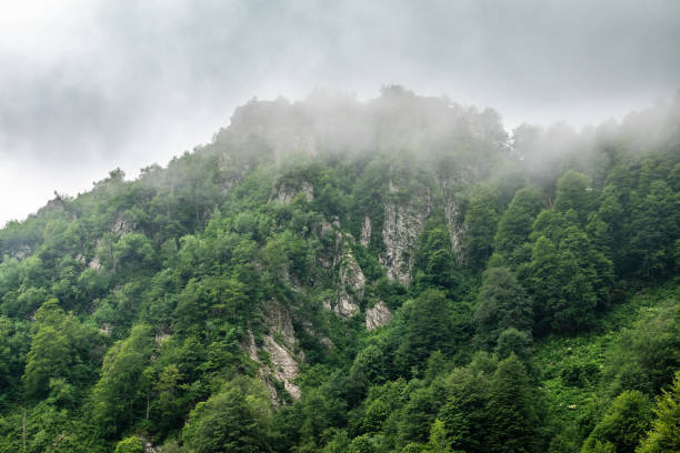istock High mountains with forested slopes and peaks hidden in the clouds. 1166271125