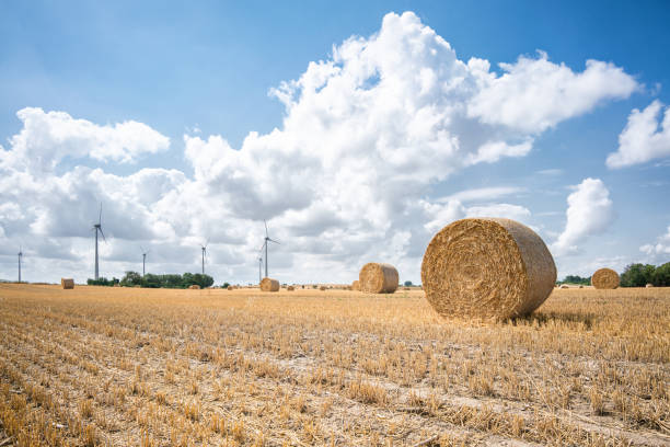 Big straw bale on field in summer-horizontal. Wind farms in background.