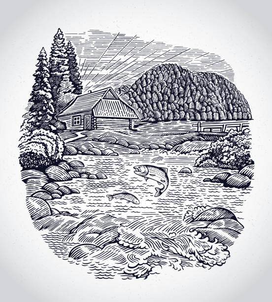 ilustrações de stock, clip art, desenhos animados e ícones de graphical landscape with the river and fish in it. - fishing hut