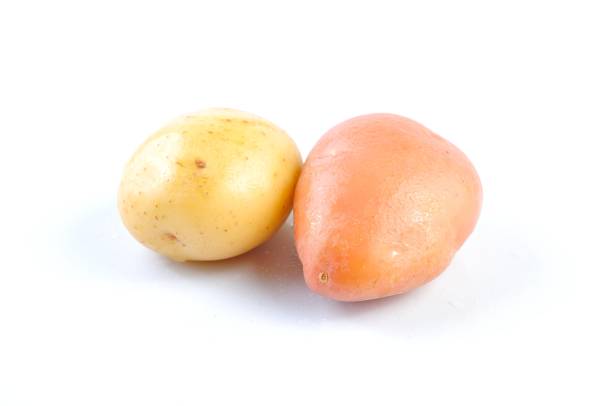 istock Pink and Yello Clean Potato isolated on white background 1166273348