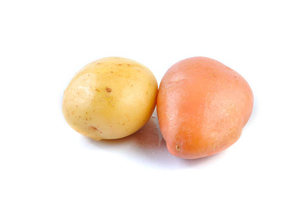 istock Pink and Yello Clean Potato isolated on white background 1166273353