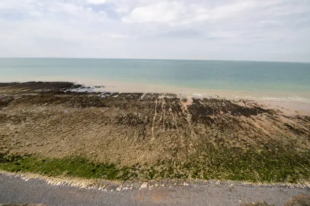 Photo of The famous Seven Sisters chalk cliffs by the English Channel. They form part of the South Downs in East Sussex, between the towns of Seaford and Eastbourne in southern England, taken on a bright day.