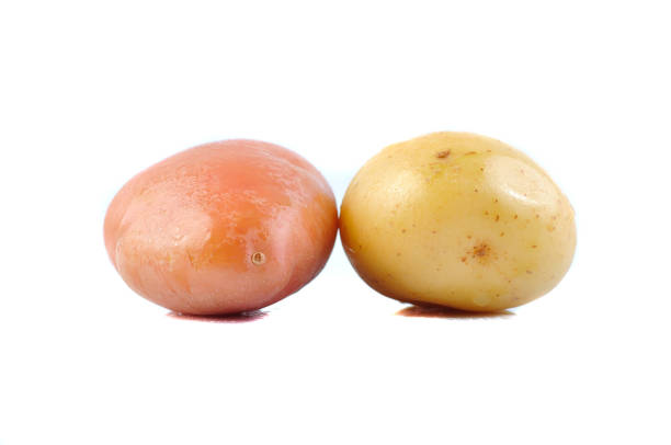 istock Pink and Yello Clean Potato isolated on white background 1166273370