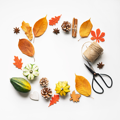 Autumn composition on white background: leaves, pumpkins, pine cones, and spices