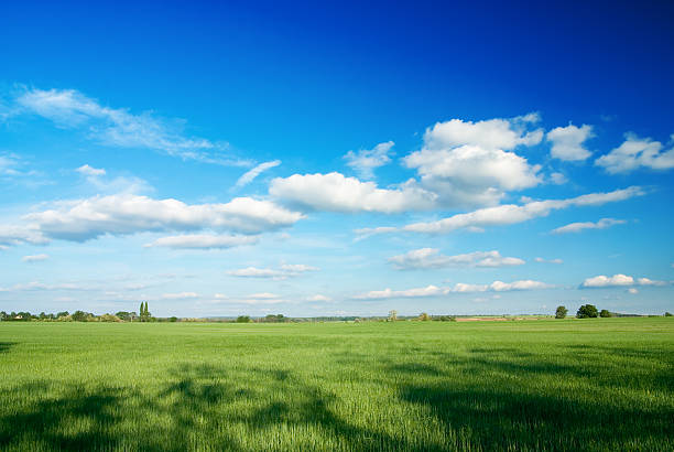 istock Large piece of land and blue cloudy sky 116627459