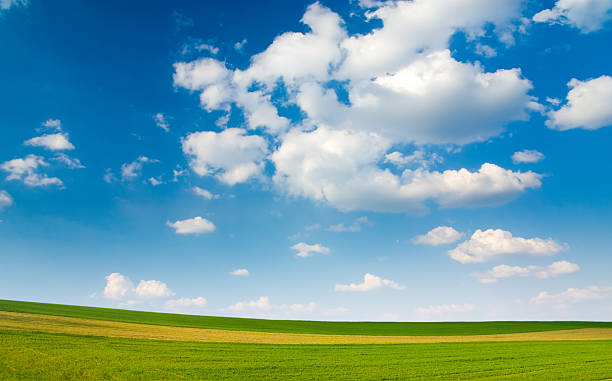 istock Large piece of land and blue cloudy sky 116627471