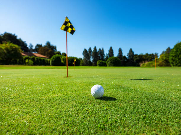 treinamento do golfe na escala dirigindo - golf green practicing sports training - fotografias e filmes do acervo
