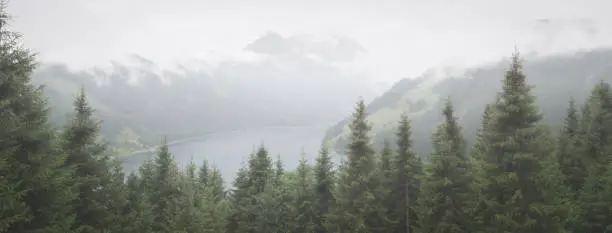 Photo of Panorama of a misty lake in the Alps with snow capped mountains