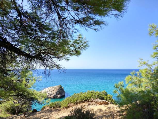 istock Tropical view of sea with trees 1166279883