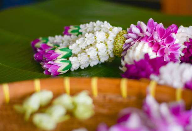 istock Jasmine garland is very famous in Thailand 1166279952