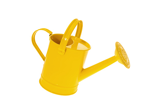Yellow watering can - white background