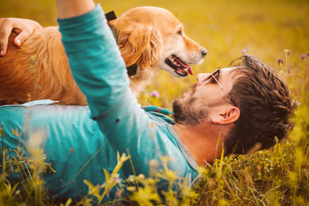 istock I Love My Dog 1166280752