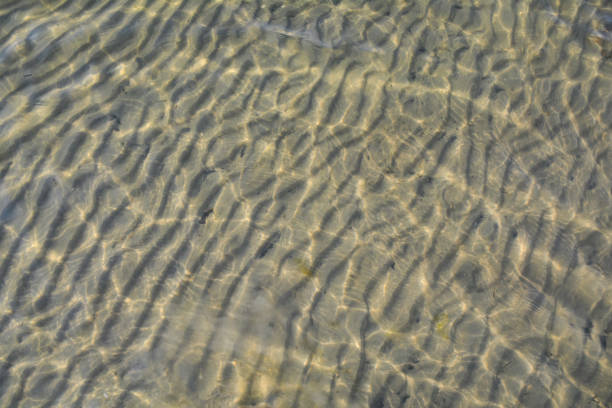 istock Transparent water on yellow sand 1166280967
