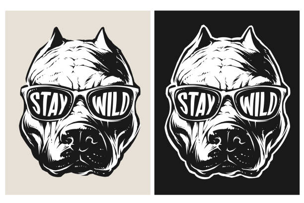 Pitbull Head Vector Pit Bull Wearing a Sunglasses pitbull graphic stock illustrations