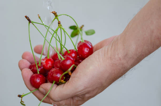 istock The man is washing the cherries 1166282419