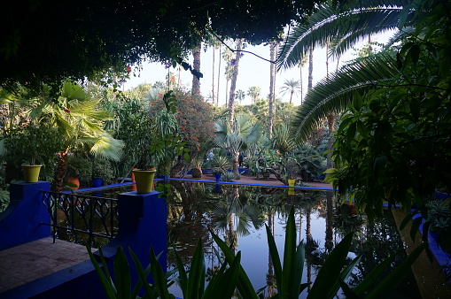 View of the pond of Majorelle Gardens