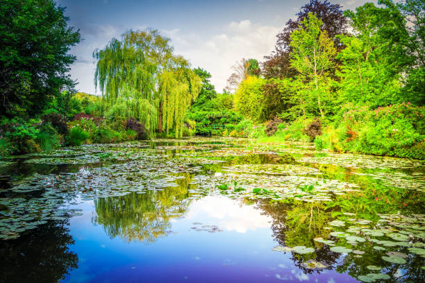 istock Pond with lilies in Giverny 1166287514