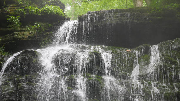 istock Machine Falls Trail in Middle Tennessee 1166291301