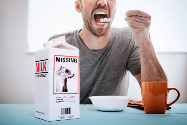 Missing Person Milk Carton With Squirrel While Man Eats Breakfast A man enjoys his morning bowl of cereal, the camera focused on a humorous missing persons ad posted on the side of a milk carton featuring a pet squirrel that has escaped. lost photos stock pictures, royalty-free photos & images