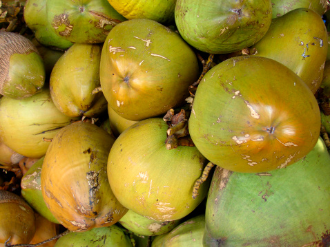 Abstract image of Indian coconut cold drink from a market on the beach of India.  