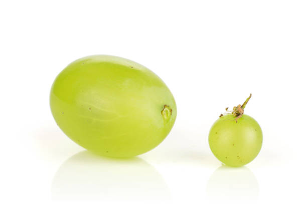 fresh green grape isolated on white - luminant imagens e fotografias de stock