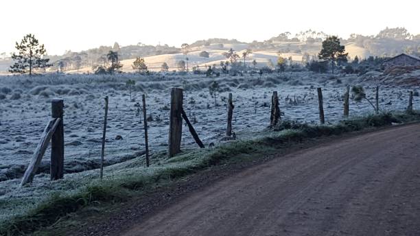 Frozen icy landscape in southern Brazil santa catarina brazil stock pictures, royalty-free photos & images