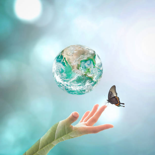 green planet with butterfly for earth day and go green concept: elements of this image furnished by nasa - growth global business global communications healthcare and medicine imagens e fotografias de stock