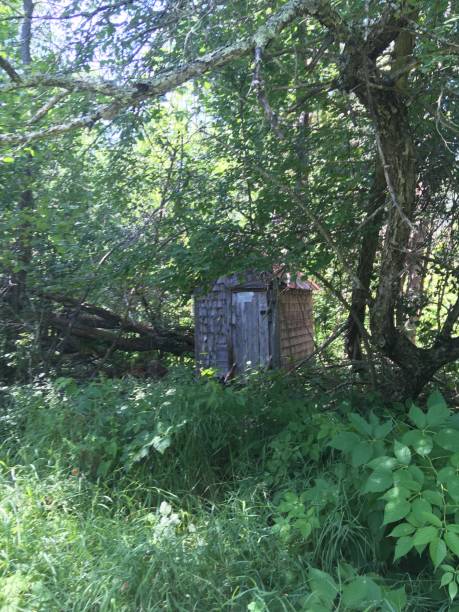 istock Small old wooden shed 1166297126