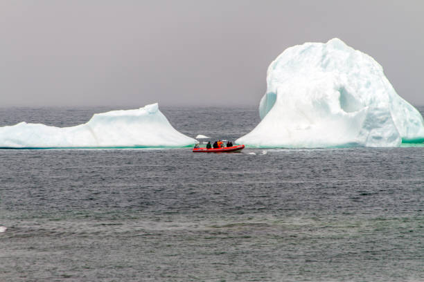 istock Newfoundland iceberg with tourist boat 1166301069