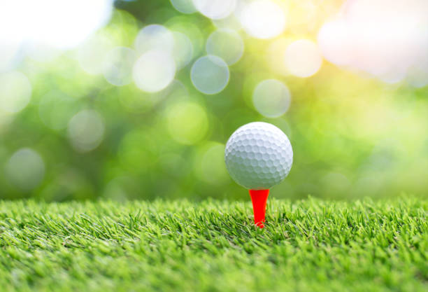 Golf ball and Golf Tees Isolated
