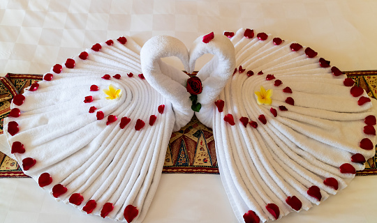 Origami swans made out of towels and laid out on a bed in a honeymoon suite in a luxury hotel